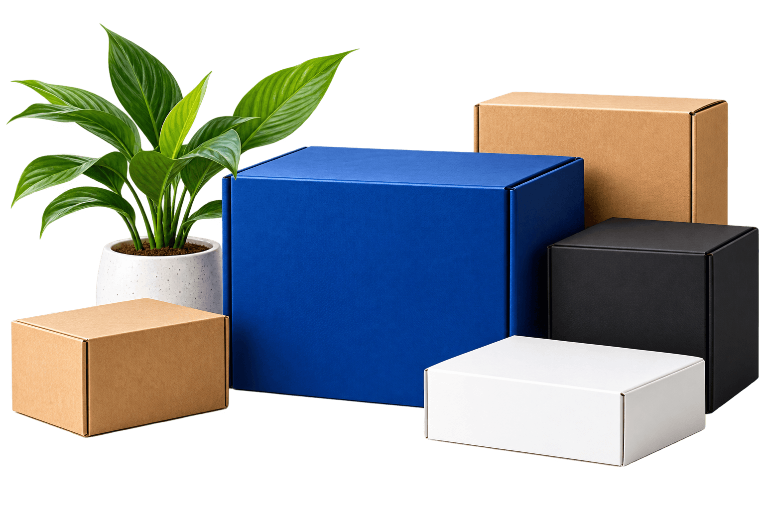 Bluebird Packaging custom packaging boxes