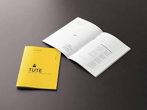  Common booklet sizes compared, including A4, A5, A6, US Letter, and half letter. bluebird Packaging
