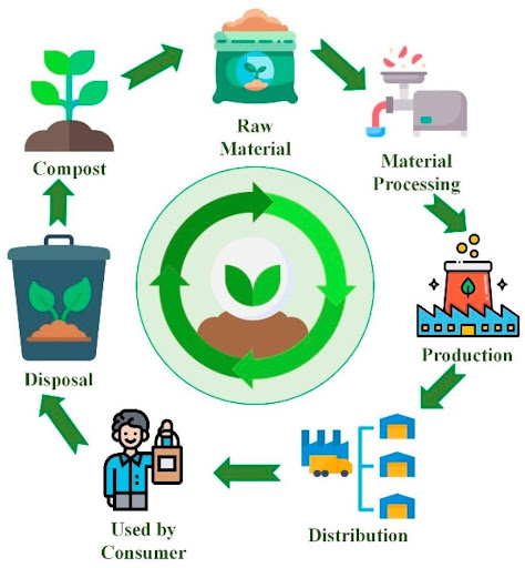 How to Choose the Right Biodegradable Packaging
